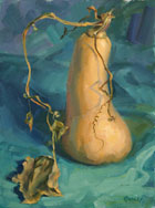 Butternut